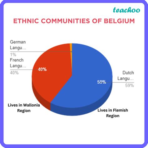 ethnic composition of belgium class 10
